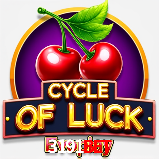 Experiência VIP 3191Bet